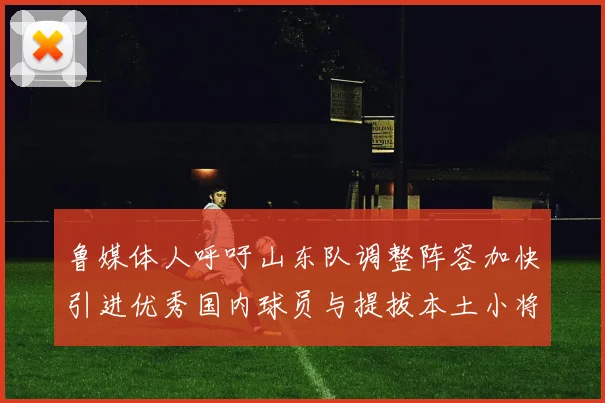 鲁媒体人呼吁山东队调整阵容加快引进优秀国内球员与提拔本土小将